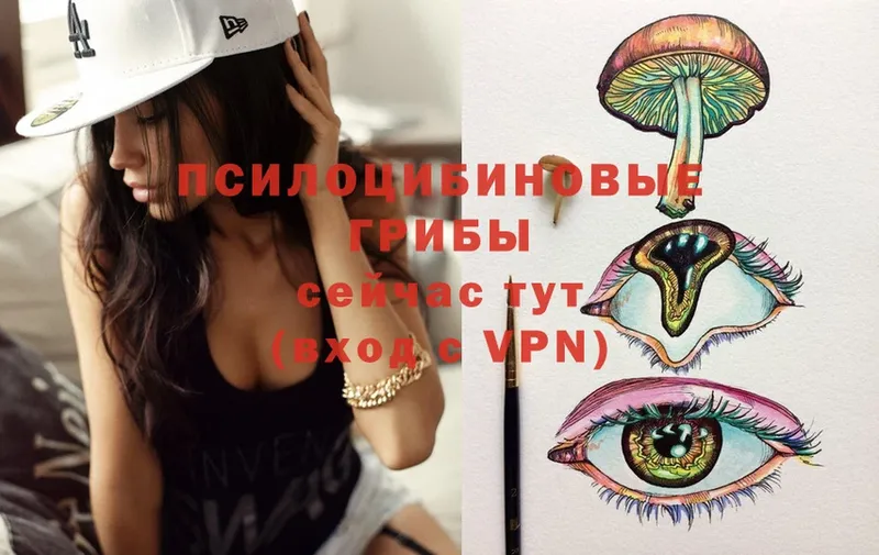 Галлюциногенные грибы MAGIC MUSHROOMS  Духовщина 